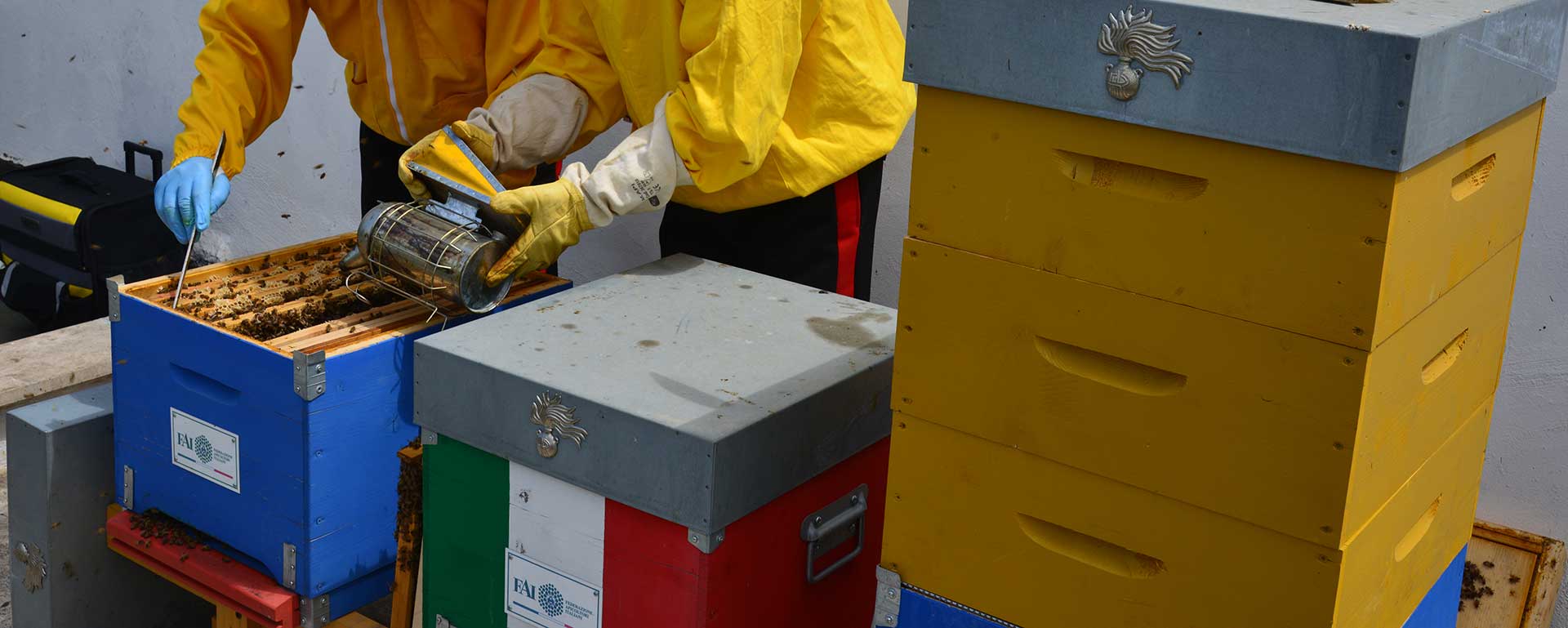 Carabinieri Biodiversità